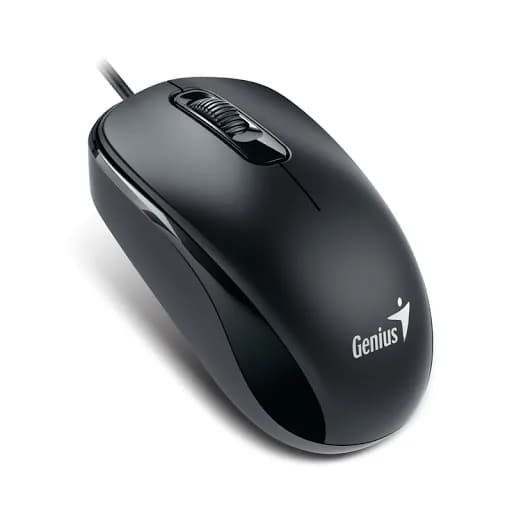 Mouse Genius DX-120 USB